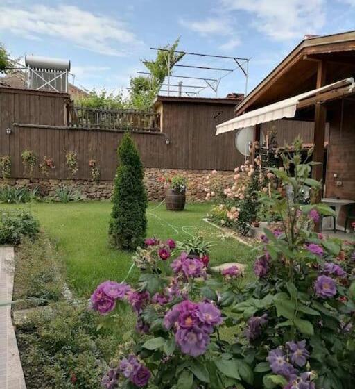 بنسيون Lucky 2