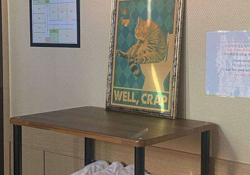 فندق صغير Lofy House