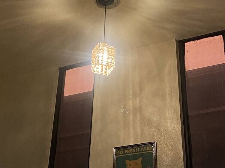 فندق صغير Lofy House