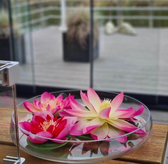 تختخواب و صبحانه Guesthouse Amberdi, Fly & Stay