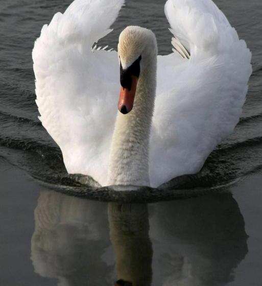 تختخواب و صبحانه Guesthouse Amberdi, Fly & Stay