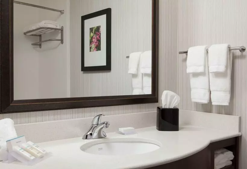 호텔 Hilton Garden Inn Bettendorf/quad Cities