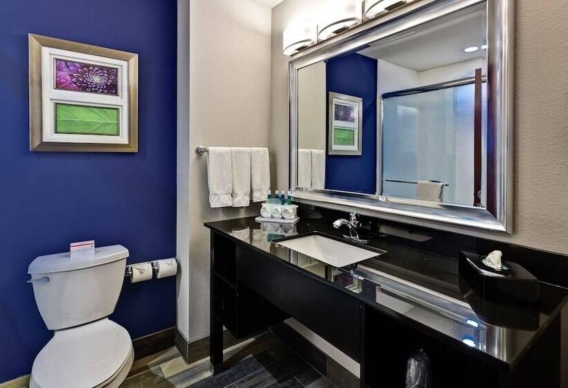 호텔 Holiday Inn Express Hutchison, An Ihg