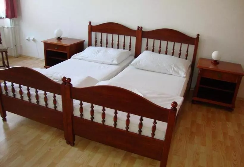 膳宿费 Penzion Aviatik