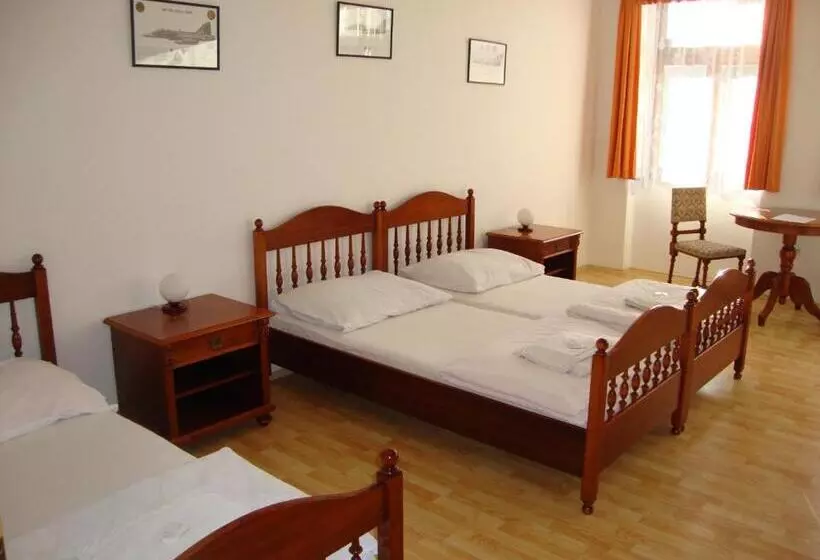 膳宿费 Penzion Aviatik