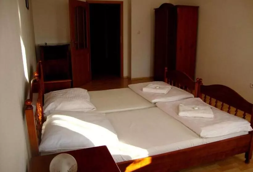 膳宿费 Penzion Aviatik