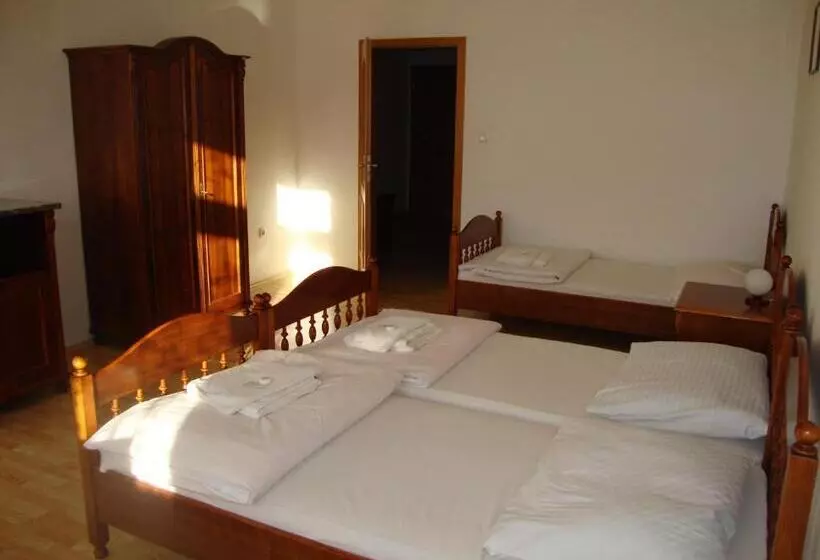 膳宿费 Penzion Aviatik