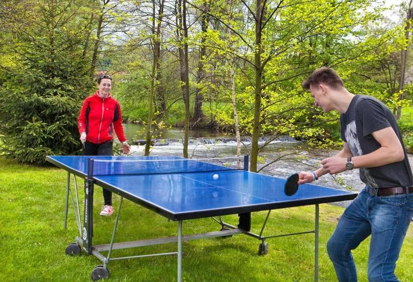 פנסיון Willa Marianna