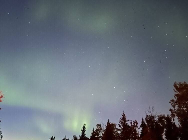 בית מלון כפרי Trophy Lodge Accommodations