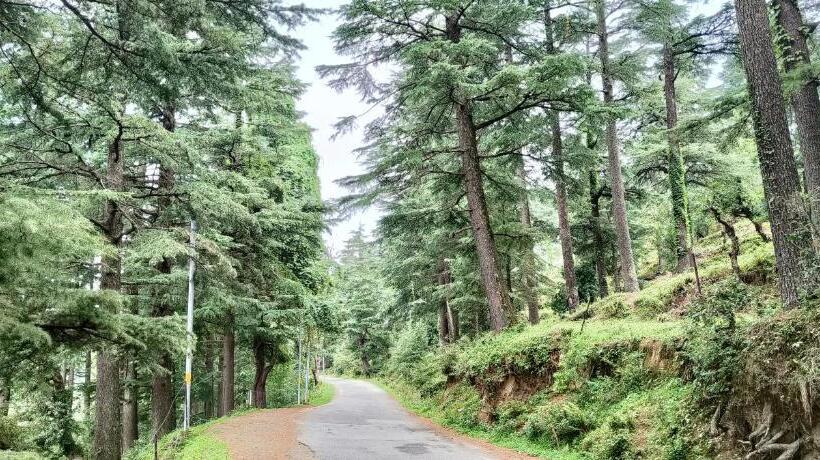 The Roots Hotel & Resort Jalna Almora