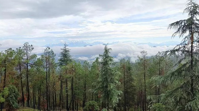 The Roots Hotel & Resort Jalna Almora