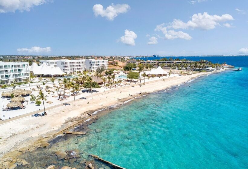 Chogogo Dive & Beach Resort Bonaire