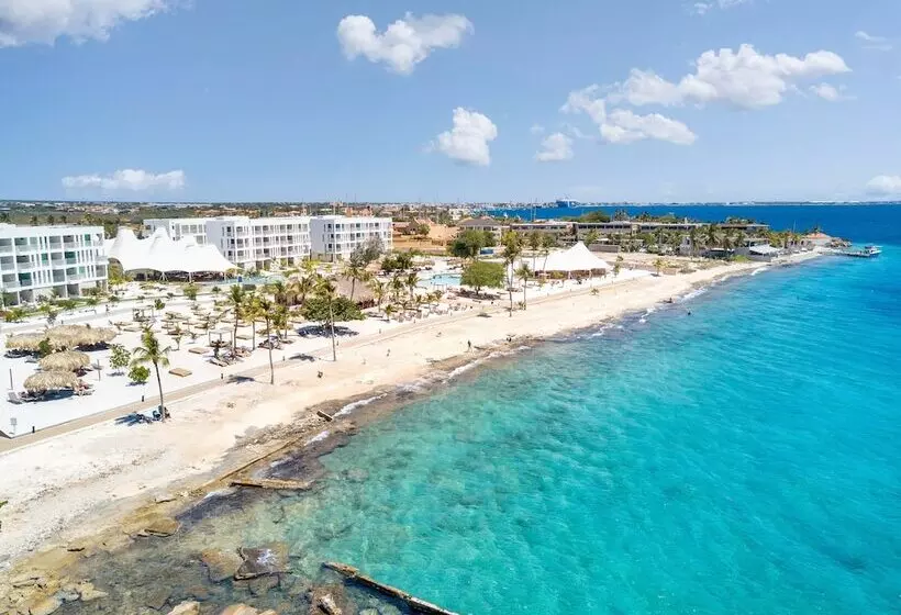 Chogogo Dive & Beach Resort Bonaire