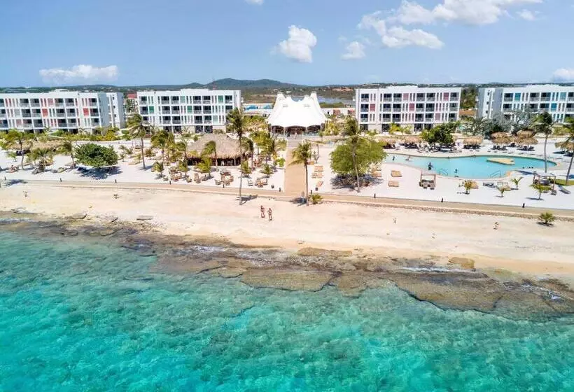 Chogogo Dive & Beach Resort Bonaire