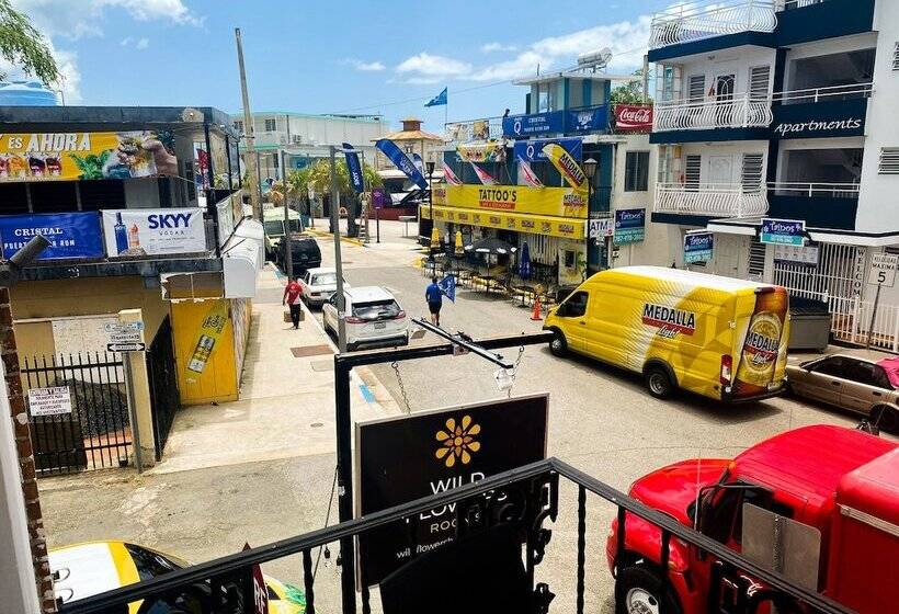 هاستل Wild Flowers Rooms