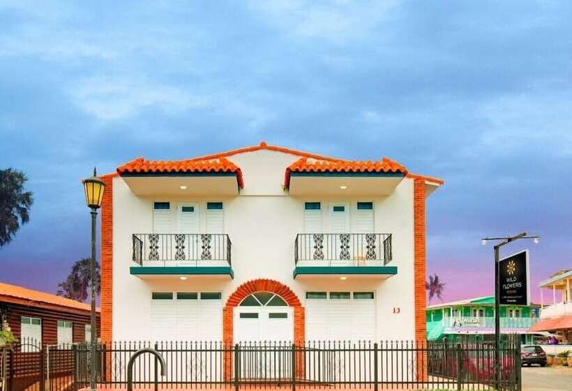 هاستل Wild Flowers Rooms