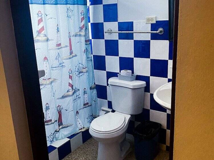 هاستل Wild Flowers Rooms