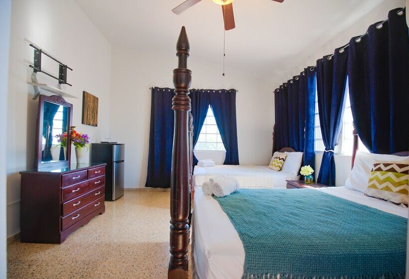 هاستل Wild Flowers Rooms