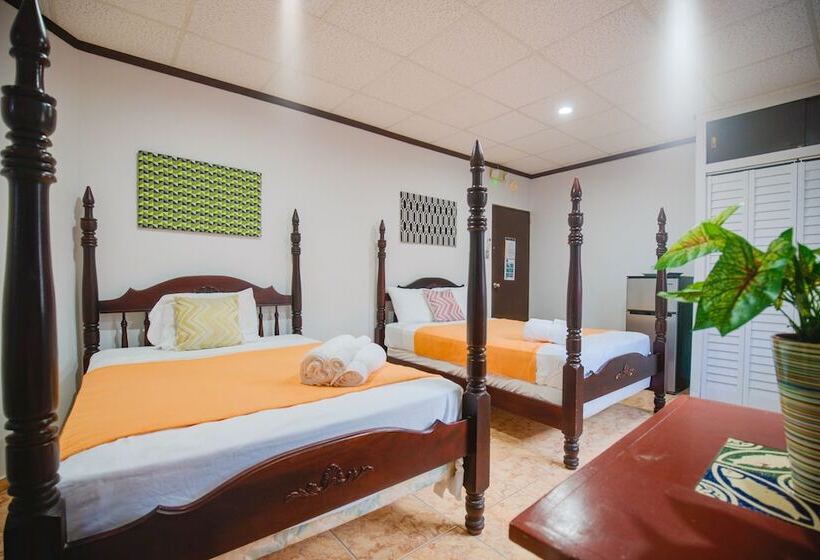 هاستل Wild Flowers Rooms