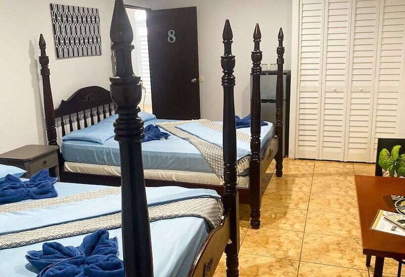 هاستل Wild Flowers Rooms