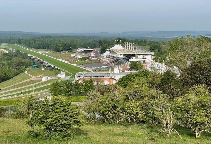 Bed and Breakfast Flint House   Goodwood Events