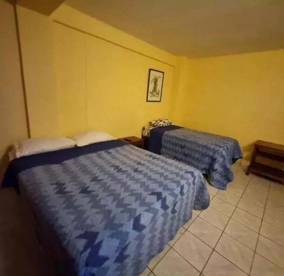 هتل Astore Matta 2537