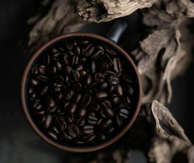 Pensió Fellpack House