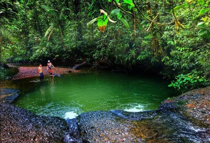 Hotel Casa Hospedaje Mayesty