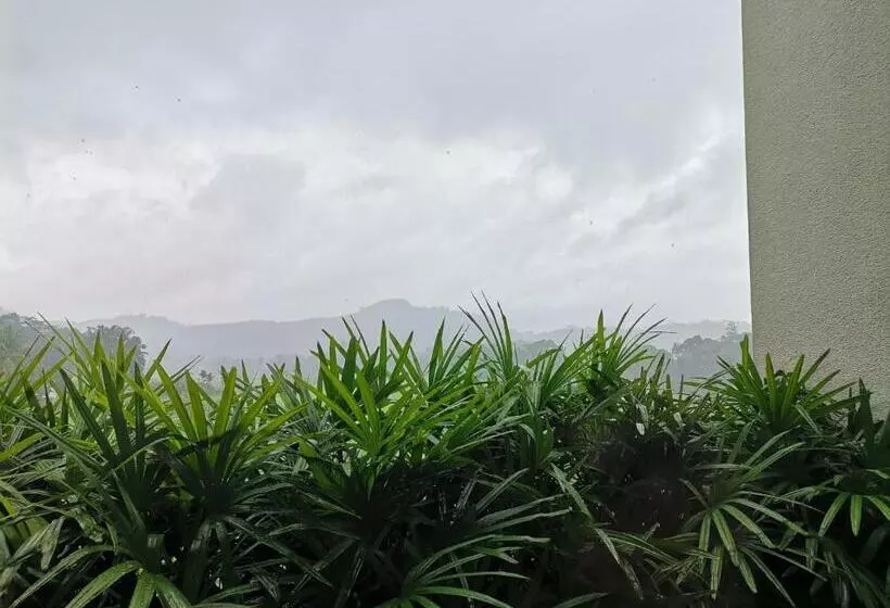 Hotelli Grand Silver Ray