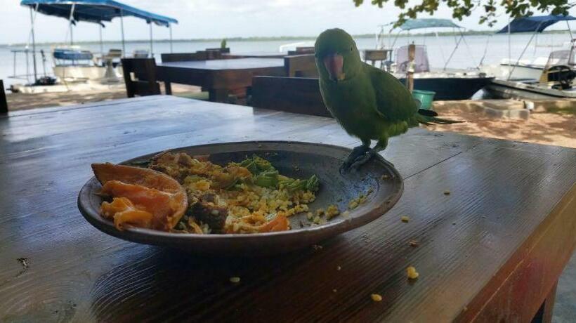 منتجع Ceylon Dutch Trails