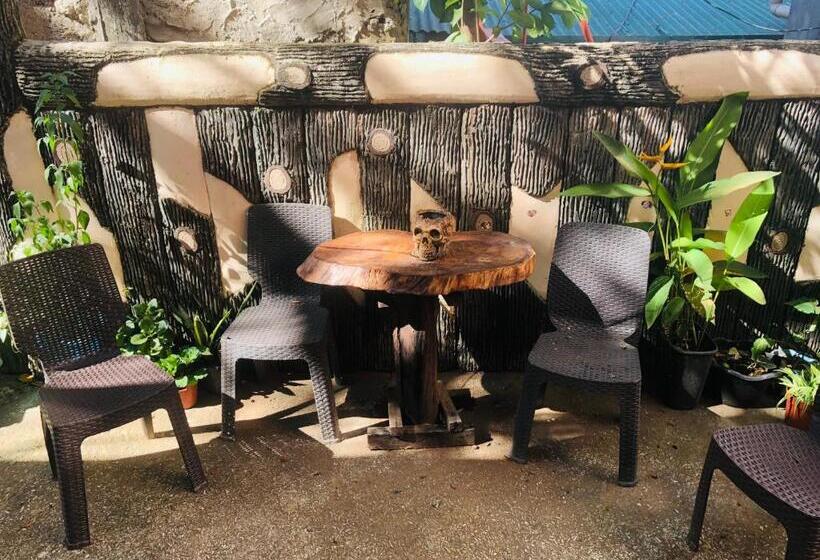 هاستل Hub Backpackers Hangout