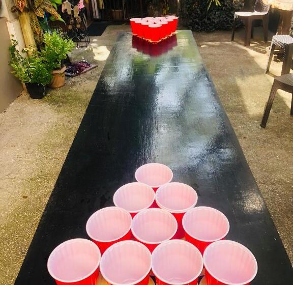 هاستل Hub Backpackers Hangout