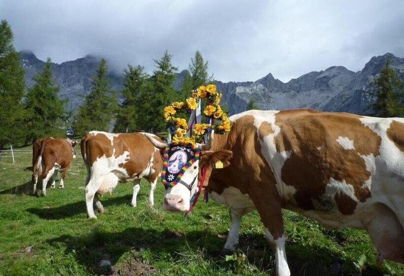 ユースホステル Pension Berghof