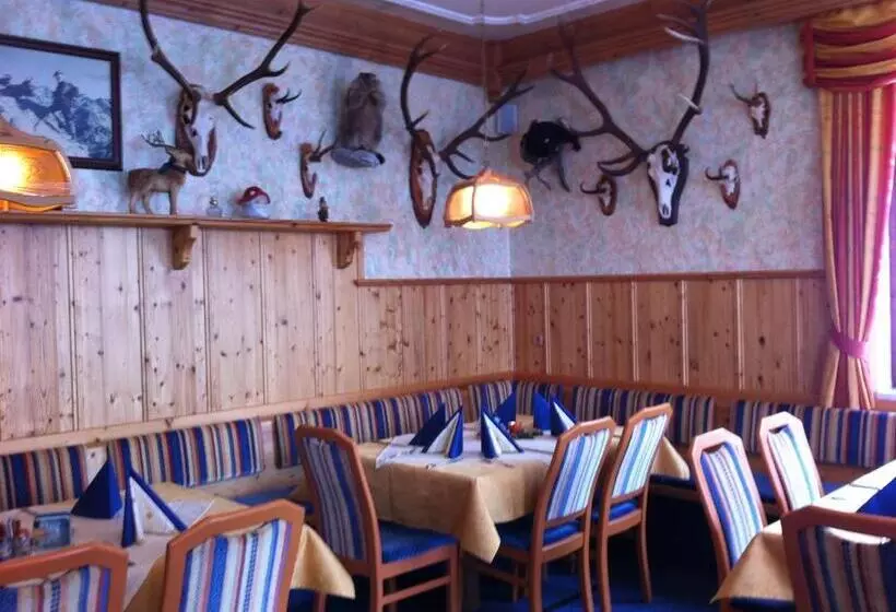 ユースホステル Pension Berghof