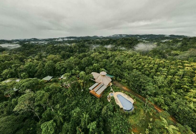 Corcovado Private Villas   Corcovado Private Reserve