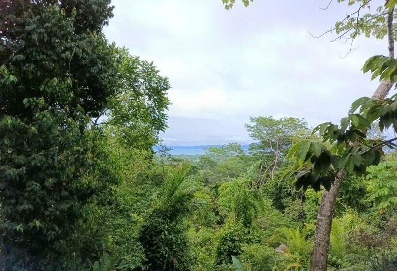 Corcovado Private Villas   Corcovado Private Reserve