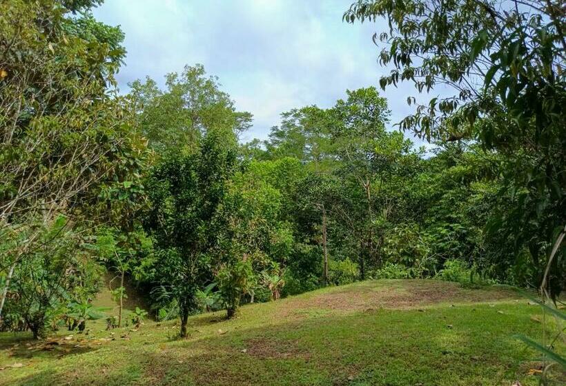 Corcovado Private Villas   Corcovado Private Reserve