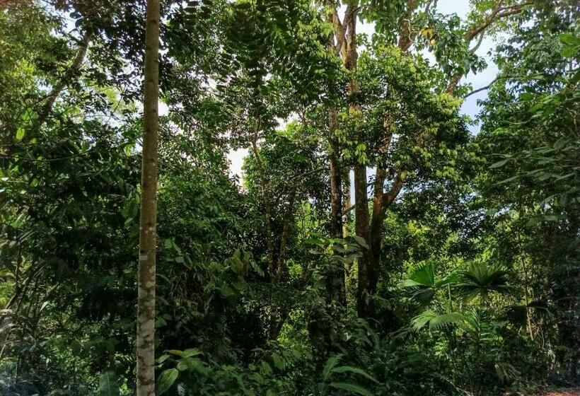 Corcovado Private Villas   Corcovado Private Reserve