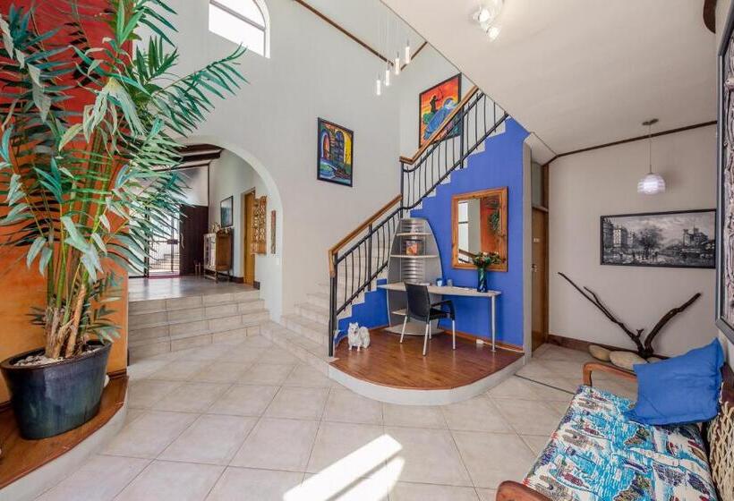 Pension Big Blue Accommodation