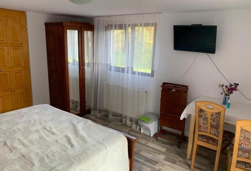 پانسیون La Măriuca