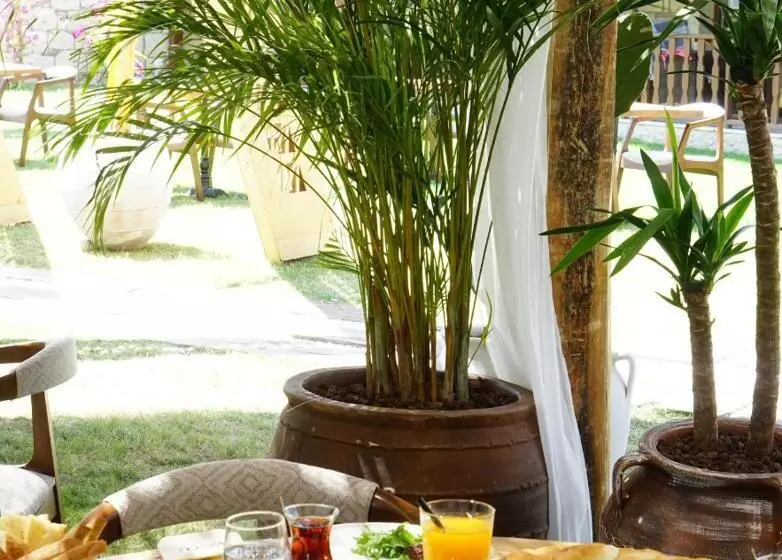 Albeon Luxury Hotel   Alacatı