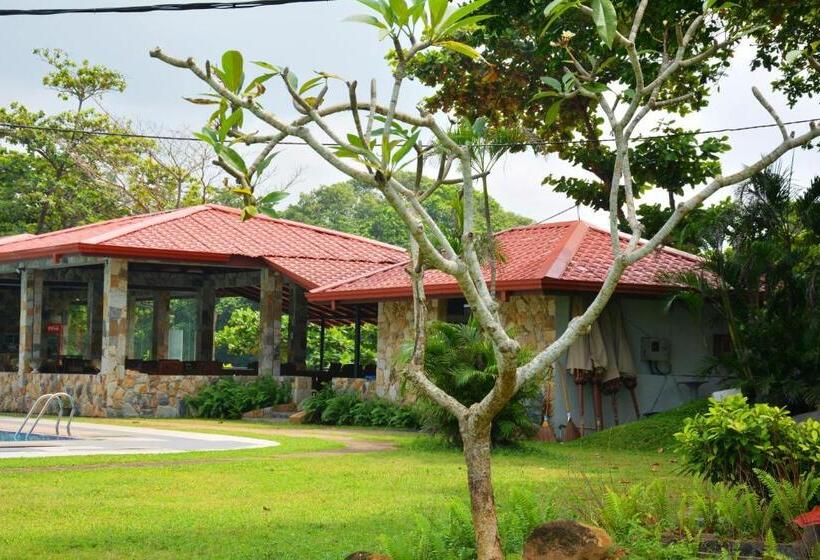 酒店 River View Banquet & Resort