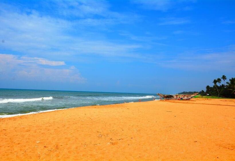 酒店 River View Banquet & Resort