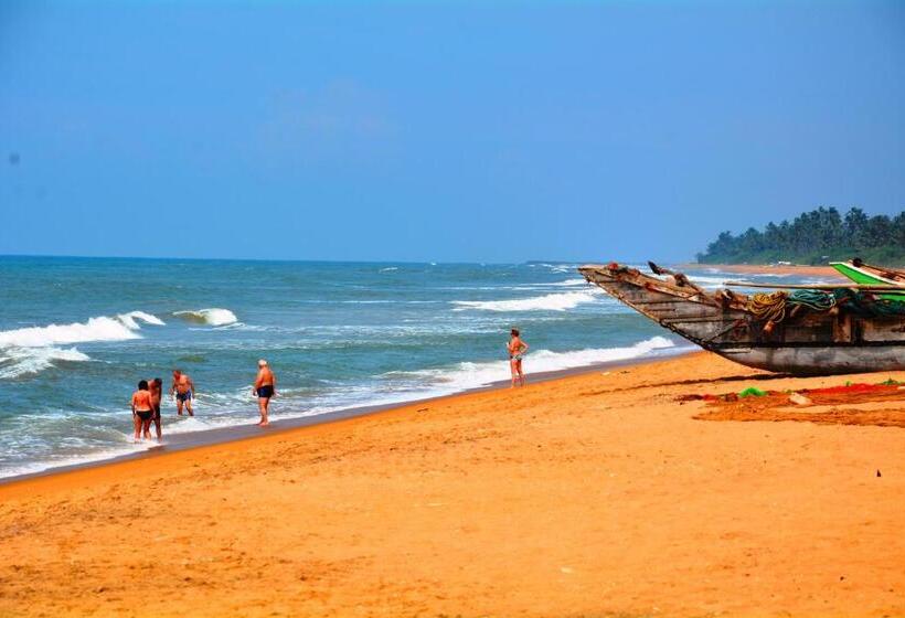 酒店 River View Banquet & Resort