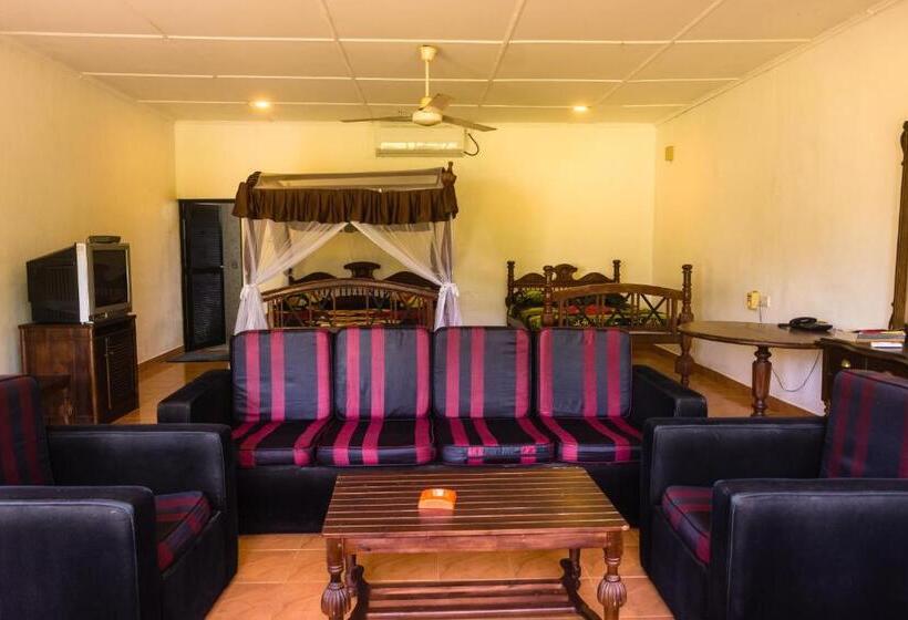 酒店 River View Banquet & Resort