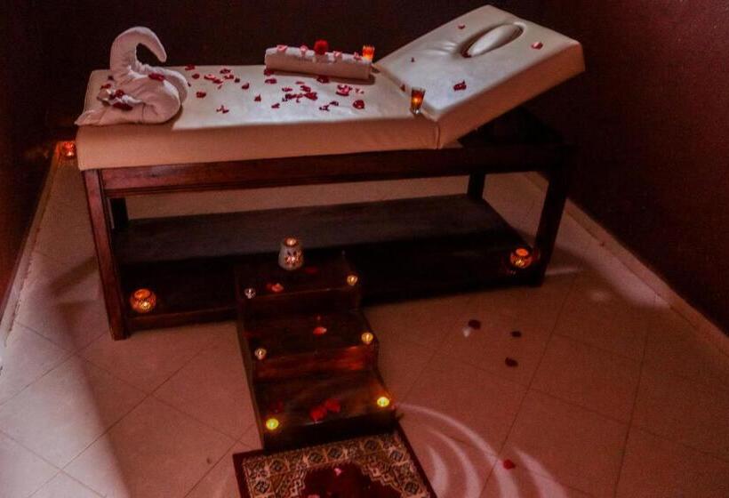 Hôtel Salma Palms Hôtel