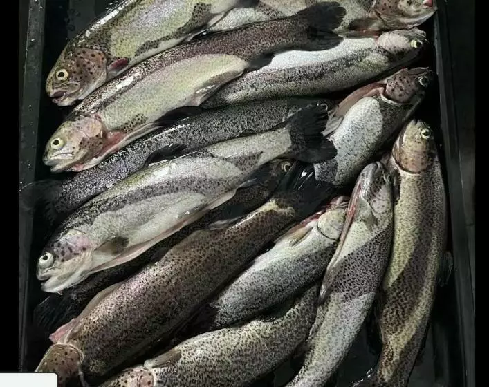 ペンション Guesthouse Arber