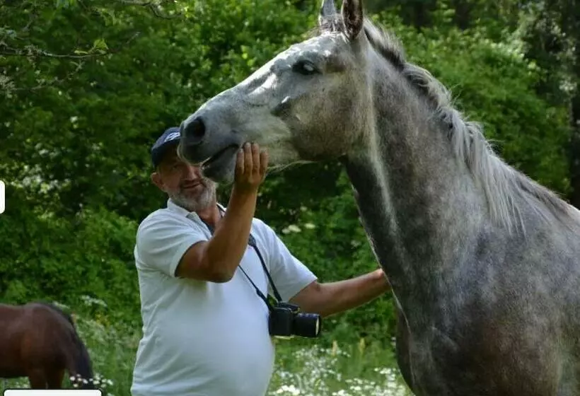 ペンション Guesthouse Arber