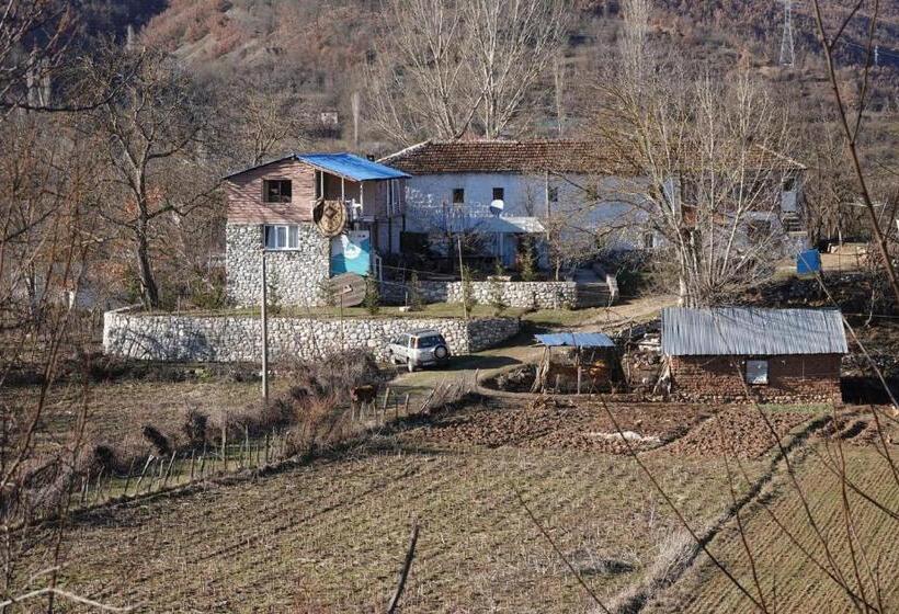 پانسیون Guesthouse Arber