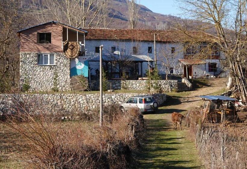 پانسیون Guesthouse Arber